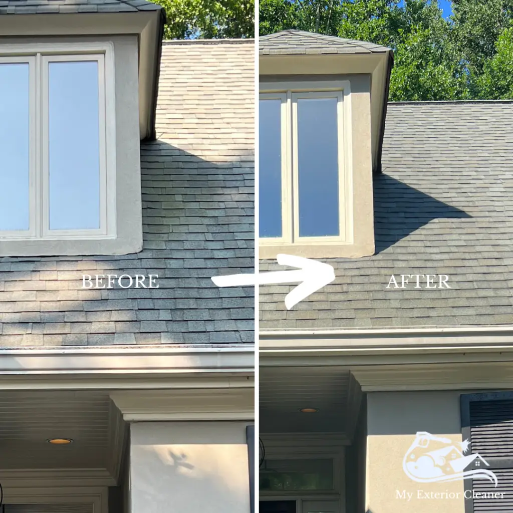 Roof Soft Wash touch-up Buckhead, Ga